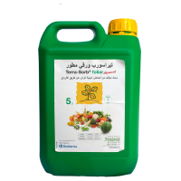 تيراسورب