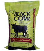 البقرة السوداء