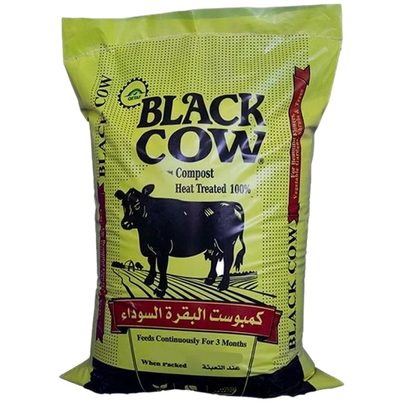 البقرة السوداء