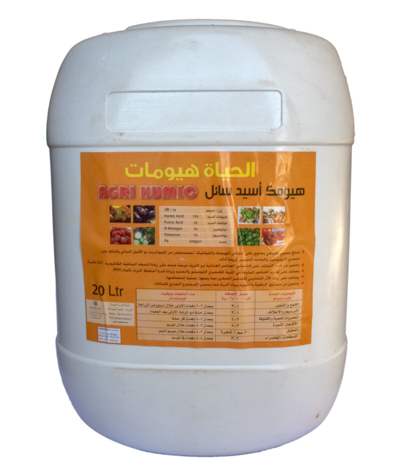 الحياة