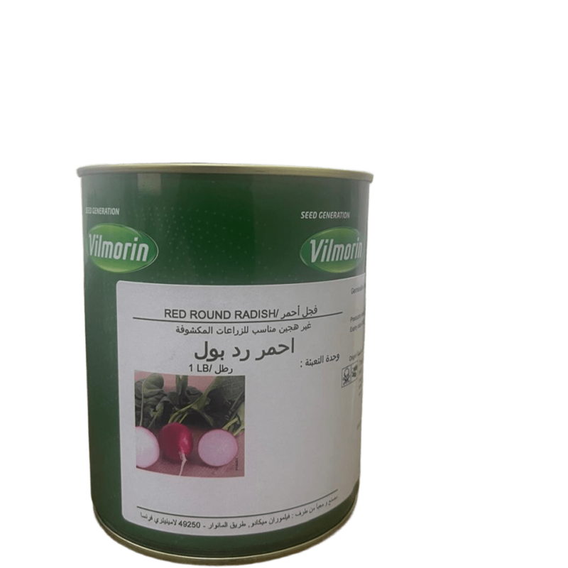 بذور فجل احمر